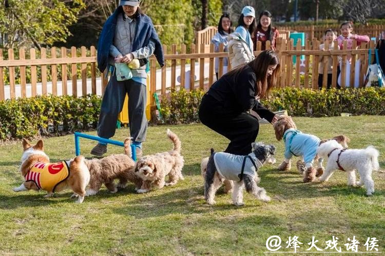 看网球贺岁杯、带娃遛宠打卡嘉年华，徐家汇体育公园喊你 “马上来玩”